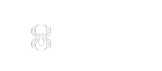 Spinawards